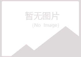 城北区山柏银行有限公司